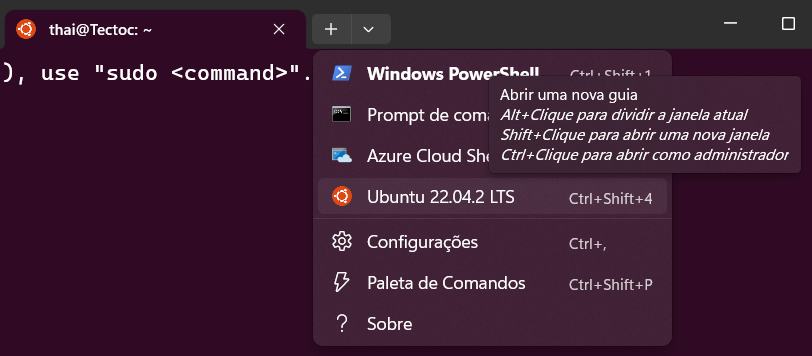 Print do Windows Terminal mostrando as opções de abertura de aba