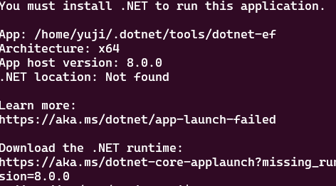 terminal do ubuntu exibindo o erro
