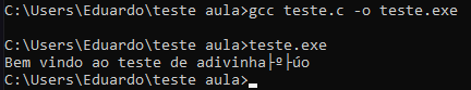 Erro no prompt de comando