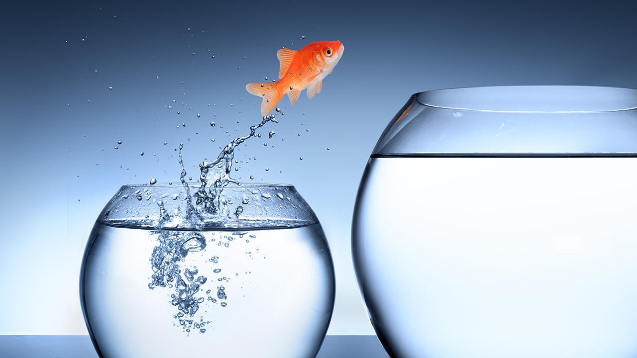 A imagem mostra um peixe saltando de um aquário menor a esquerda para um aquário maior a direita.