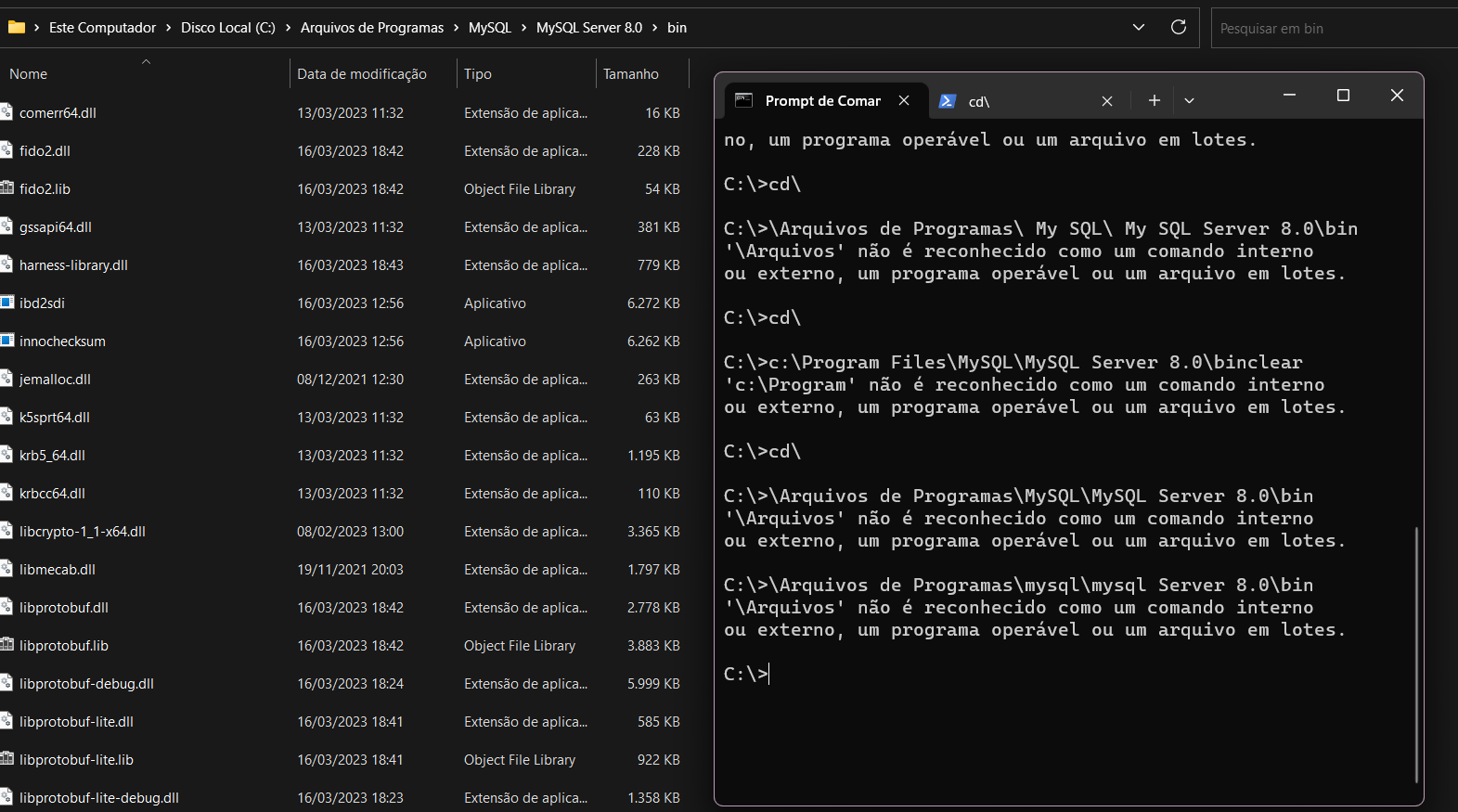 Ao lado esquerdo a pasta Arquivos de Programas\Mysql e a direita o Prompt de comando com os dados