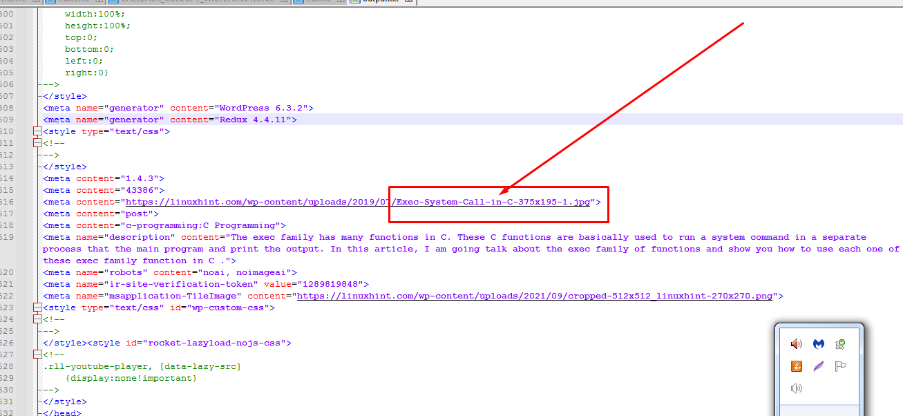 imagem de uma parte do arquivo output.txt com a url sobre Exec-System-Call-in-C: