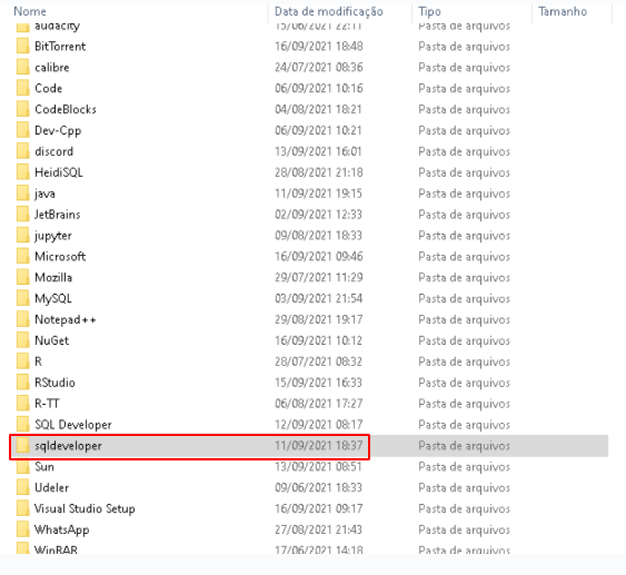 Existem duas pastas do SQL Developer neste diretório, vamos excluir apenas a pasta sqldeveloper