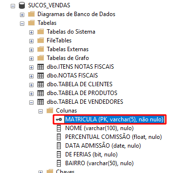 Acessando o banco de dados sucos vendas, Tabelas, tabela de vendedores e selecionando o campo matrícula