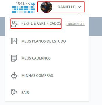 Acessando o meu perfil