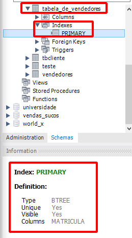 Imagem do menu Schemas do Workbench, onde a tabela de vendedores, a opção indexes, e a área de informativo, que fica localizada na parte inferior do menu Schemas e que tem as informações do index primary, que foi criado automaticamente pelo MySQL ao criar a chave primaria no campo Matricula. Estão destacados com quadrado vermelho sem preenchimento.