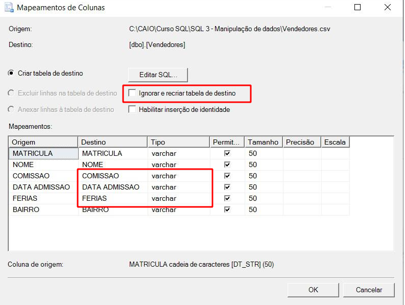 Print da tela de mapeamentos de coluna disponibilizado pelo aluno Caio, onde a opção ignorar e recriar a tabela de destino e os campos  comissão, data admissão e férias  estão destacados com um retângulo vermelho sem preenchimento 