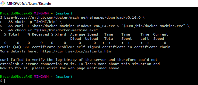 Docker Swarm - Erro certificado com Git