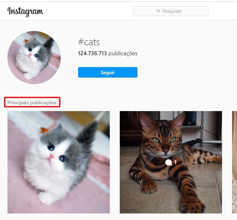 Imagem da página #cats do instagram com a frase "Principais publicações" destacada com um retângulo vermelho