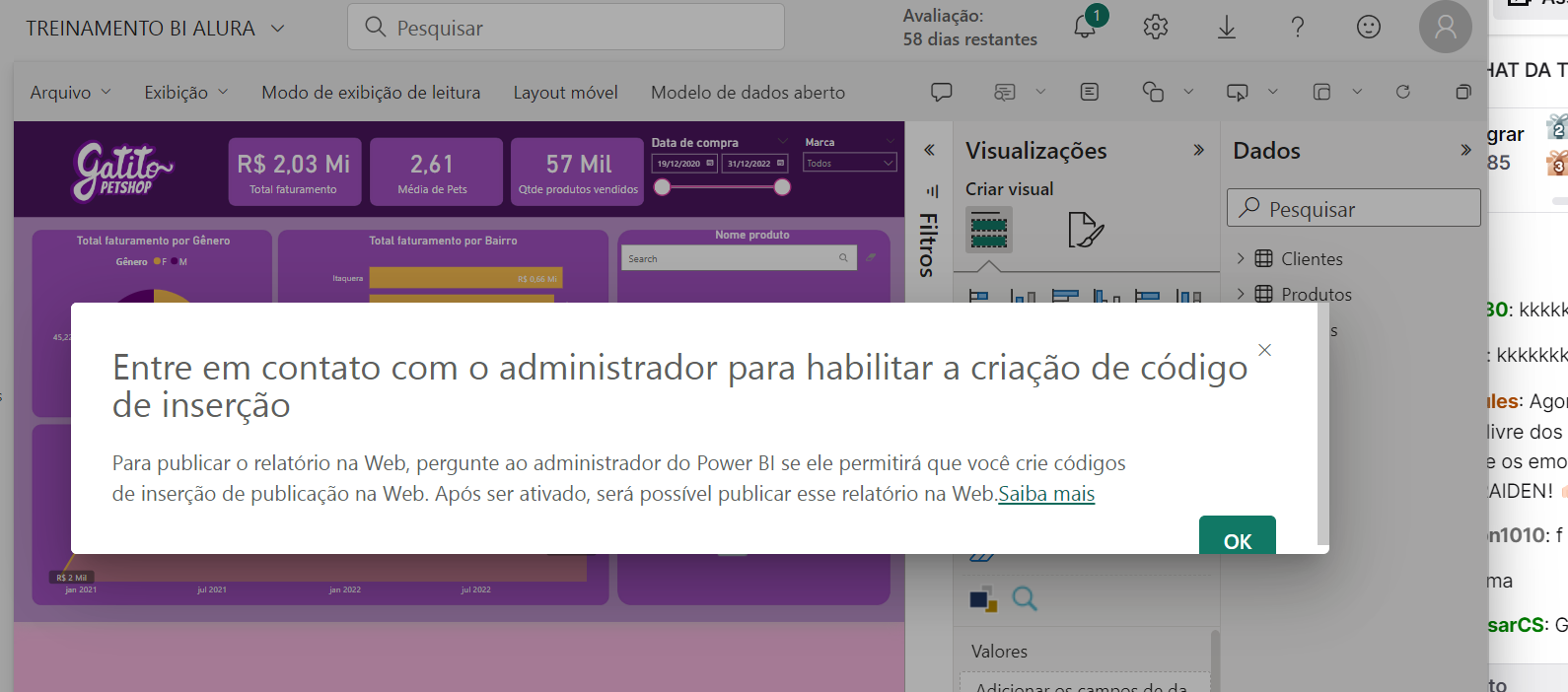 erro pagina power bi