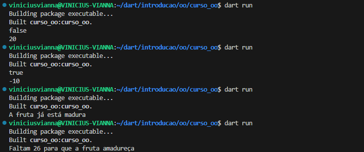 screnshot do terminal evidenciando a mensagem de build a cada execução de "dart run"