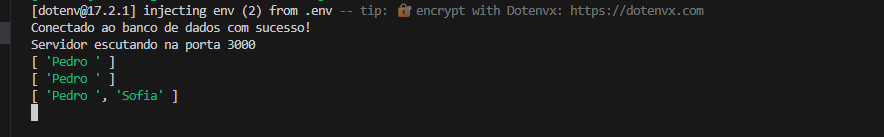 Print do console do vscode com a diferença entre os dois acessos de login, com o mesmo browser e com browser diferente