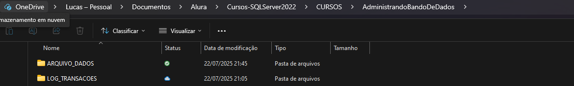 Insira aqui a descrição dessa imagem para ajudar na acessibilidade