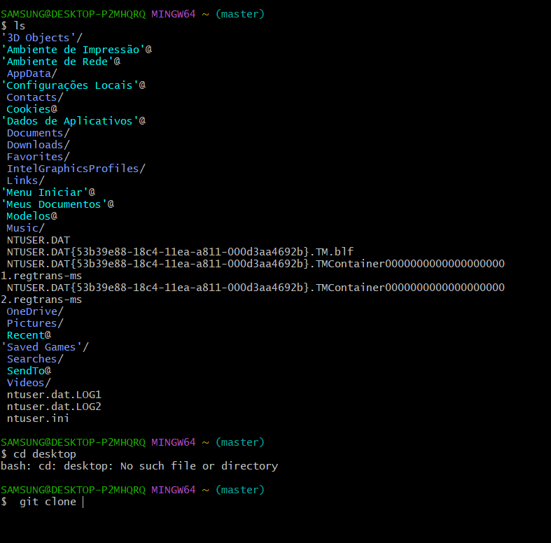 não estouconseguindo baixar o repositório usando git bash