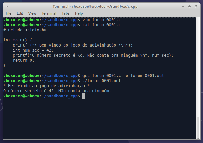 Terminal linux com o código c e a execução de um código com caracteres espeicais funcionando normalmente.
