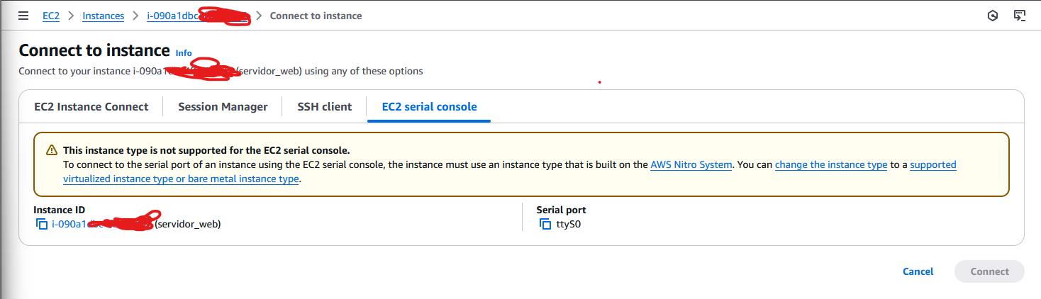 Screenshot ao tentar contectar a instância através do EC2 Serial Console