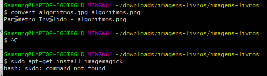 imagem do git bash com o comando convert