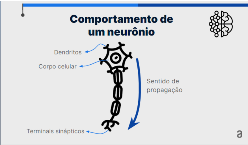 Slide intitulado "Funcionamento de um neurônio". Considerando o sentido da propagação, do corpo celular para os terminais sinápticos (de cima para baixo), o desenho do neurônio começa em um hexágono com pequenas linhas/fios nos vértices. Esses fios são os dendritos. Dentro do hexágono, há um círculo que representa o corpo celular. Do hexágono, sai uma única linha/cauda côncava. Por cima da linha, há uma série de elipses concatenadas. Essa cauda corresponde ao axônio. Ela termina em pequenas linhas, chamadas de terminais sinápticos.