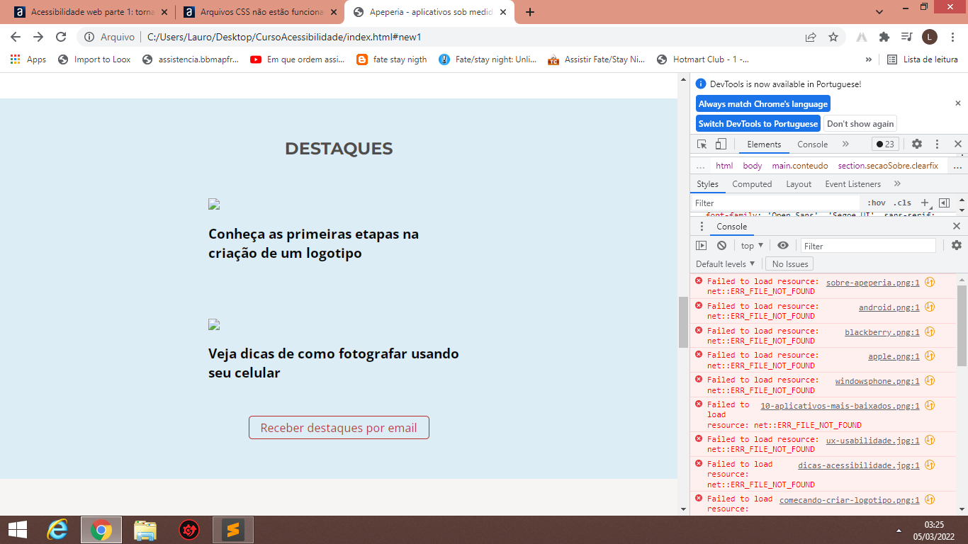 Arquivos CSS não estão funcionando