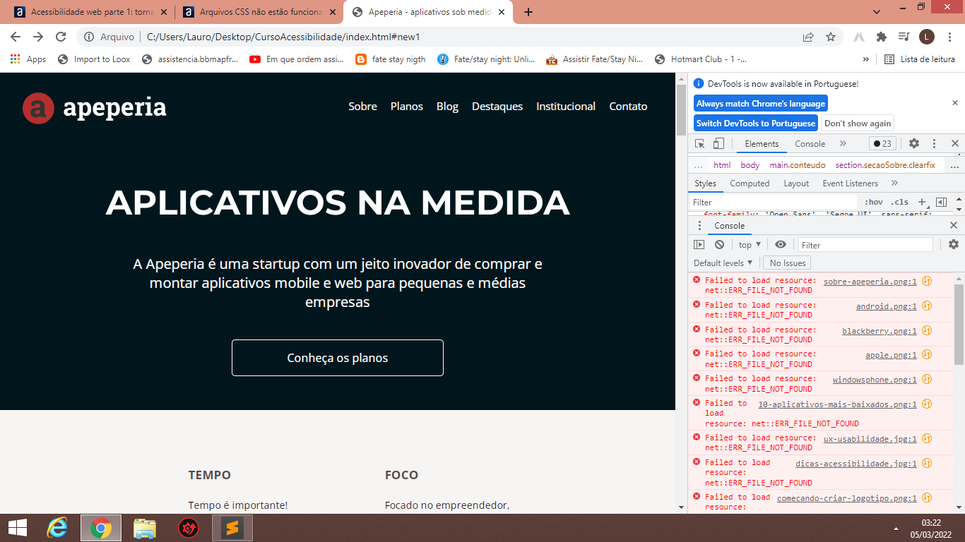 Arquivos CSS não estão funcionando