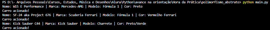 Imagem ilustrativa do que ocorre ao executar o código no console utilizando o comando python main.py