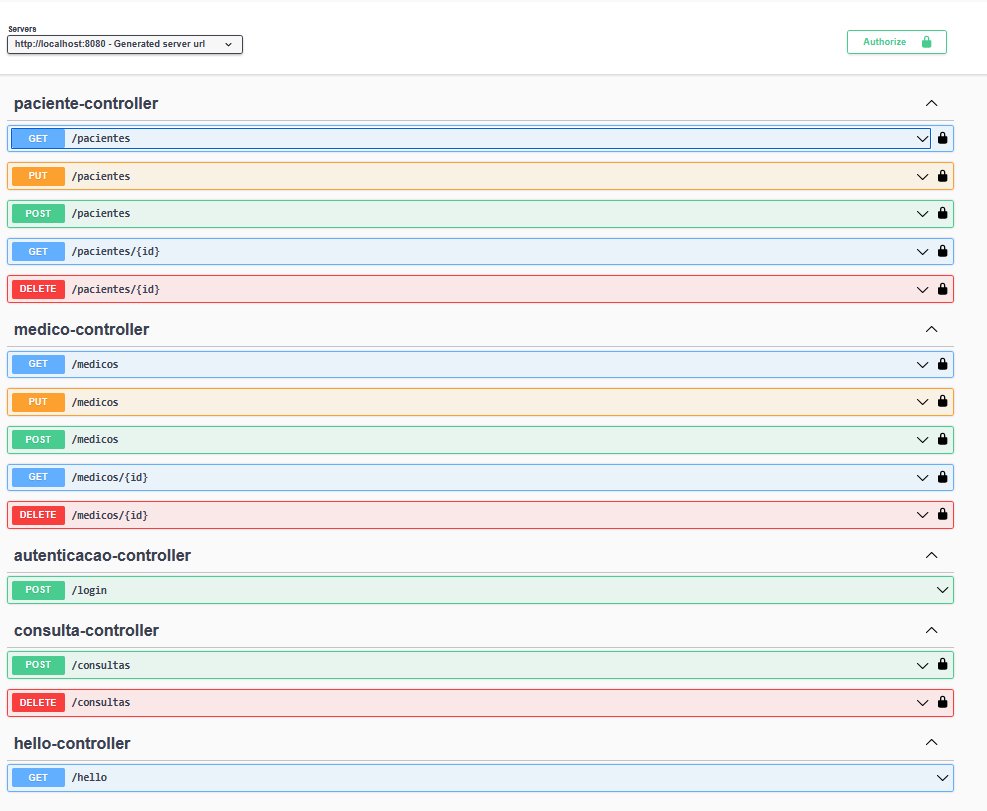Print da página: http://localhost:8080/swagger-ui/index.html#/