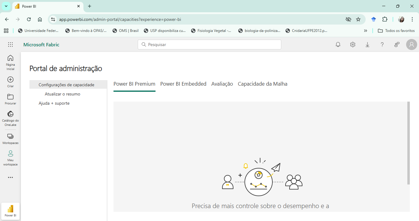 Print da página do Power BI