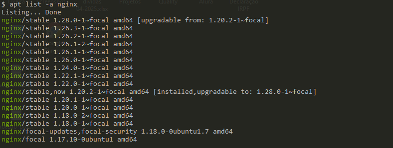 Lista de versões NGINX