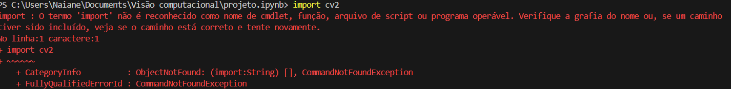aparece esse erro sempre que vou importar