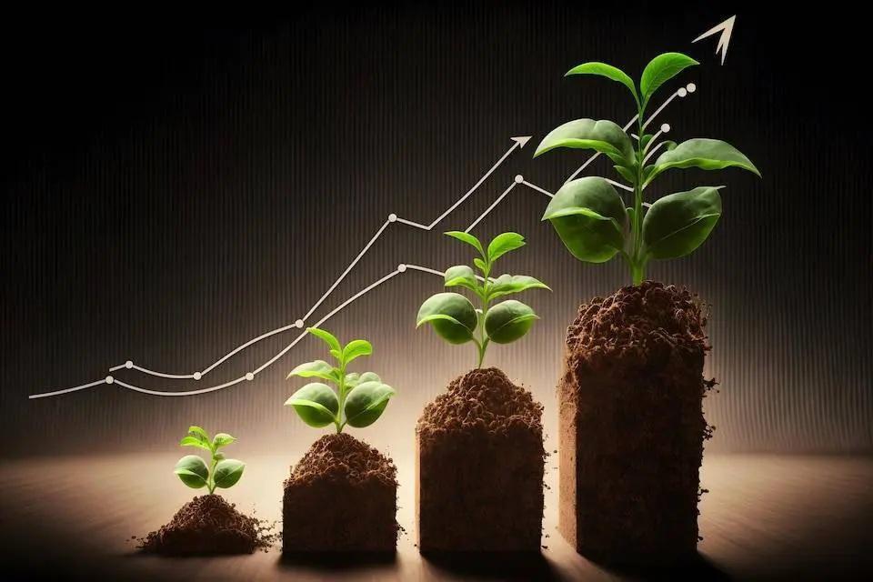 O crescimento gradual de uma planta