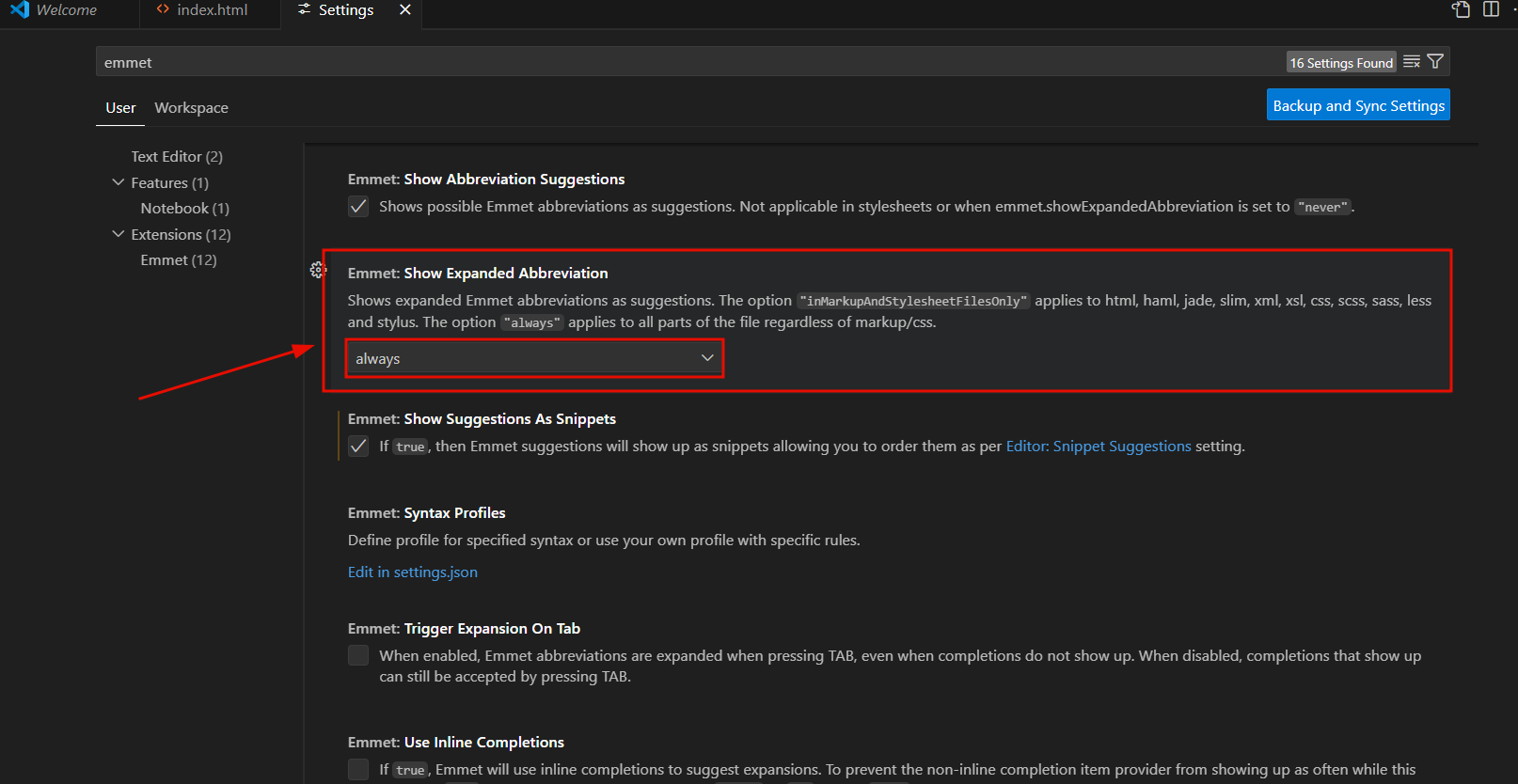 Tela de configurações do VS Code com a seção "Emmet: Show Expanded Abbreviation" destacada em vermelho. A opção está definida como "always", permitindo que as abreviações do Emmet sejam expandidas em qualquer parte do arquivo, independentemente do tipo de linguagem. Outras configurações visíveis incluem "Show Suggestions As Snippets", "Trigger Expansion On Tab" e "Use Inline Completions".