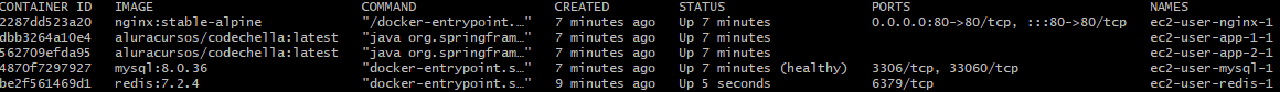 docker ps
