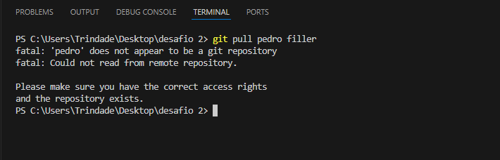 git pull pedro filler não funciona, pois o repositório supostamente "não existe".