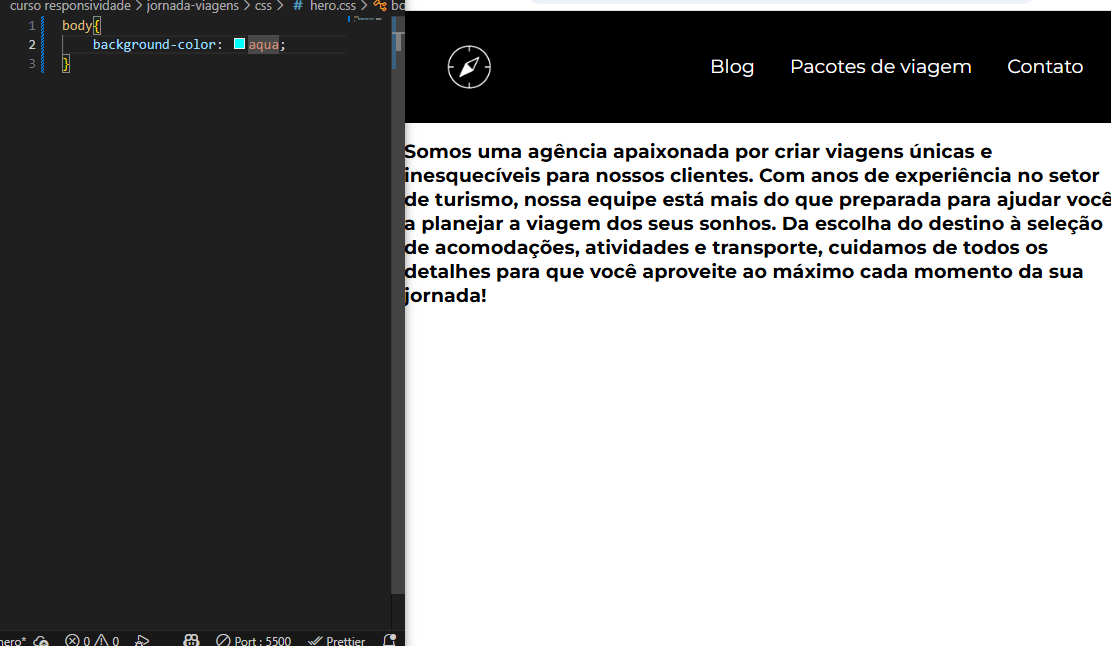 Insira aqui a descrição dessa imagem para ajudar na acessibilidade