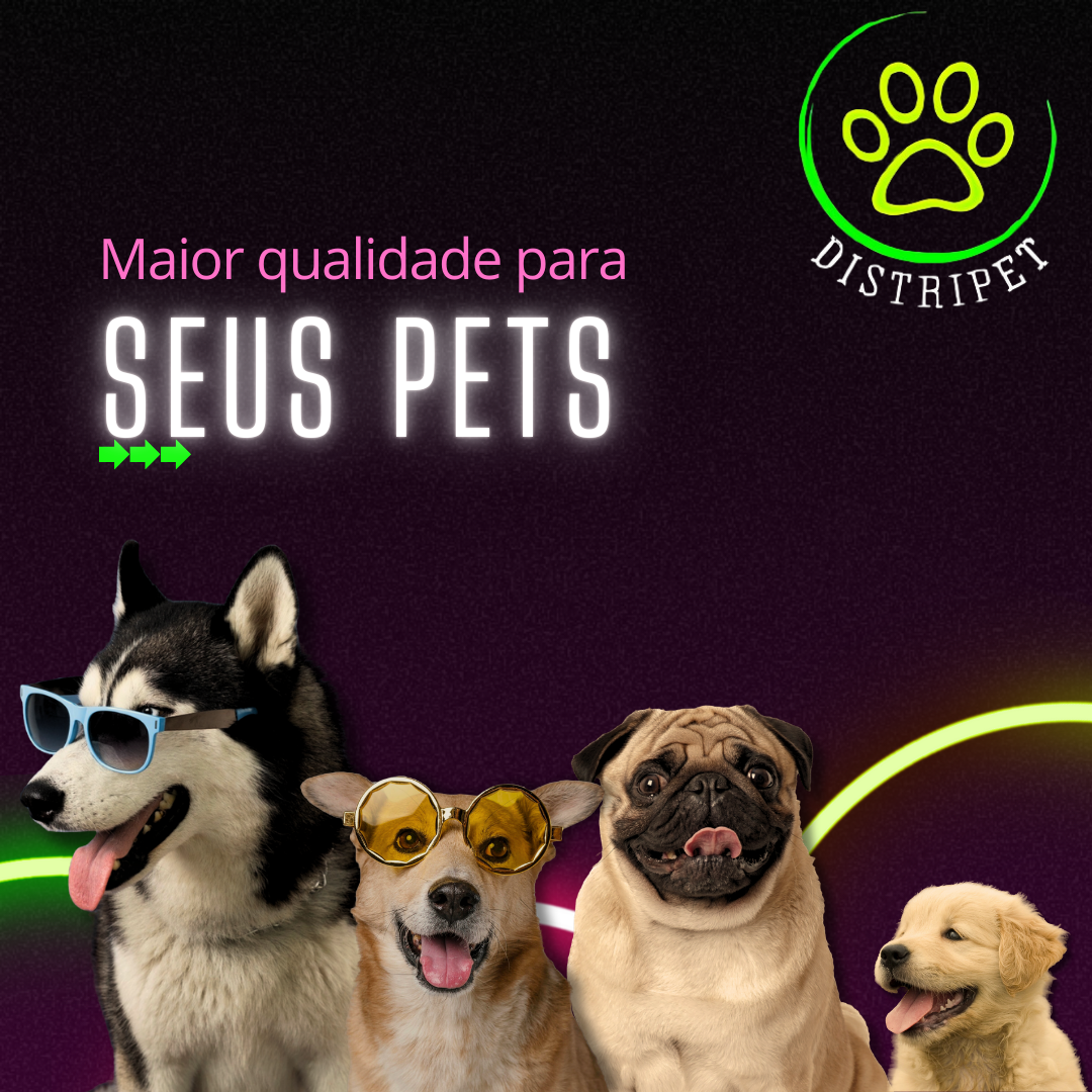 Imagem para Instagram empresa PetShop Distripet