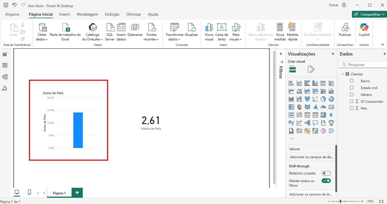 Imagem print da tela do power BI desktop demonstrando qual o estilo de visualização estava apresentando na soma de pets