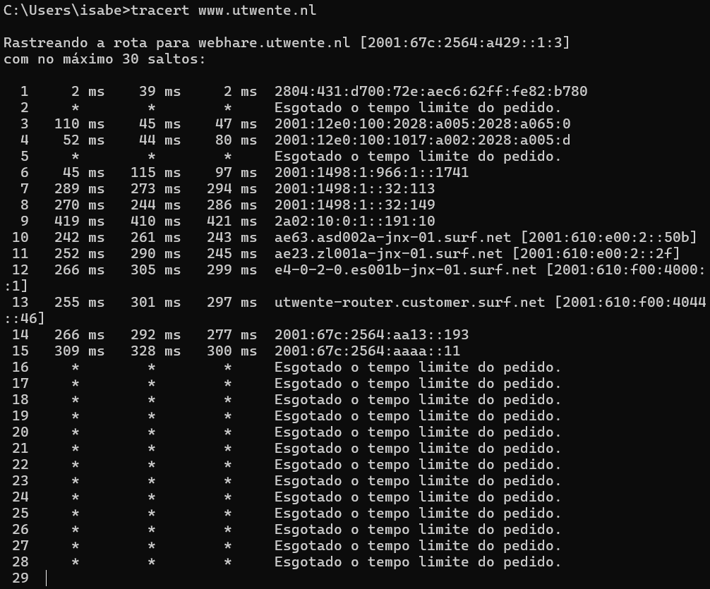 Insira aqui a descrição dessa imagem para ajudar na acessibilidade