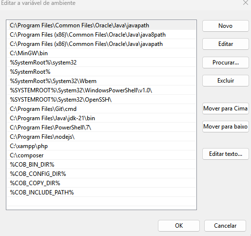 Foto da configuração da Path