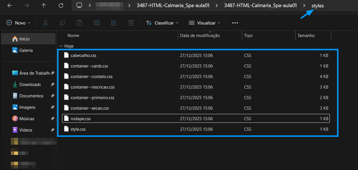 Conteúdo da pasta styles com múltiplos arquivos CSS