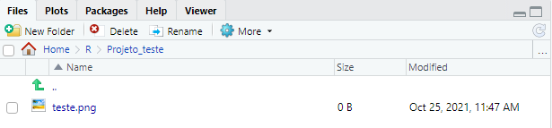 Imagem da aba files com o teste.png salvoo no diretório desejado