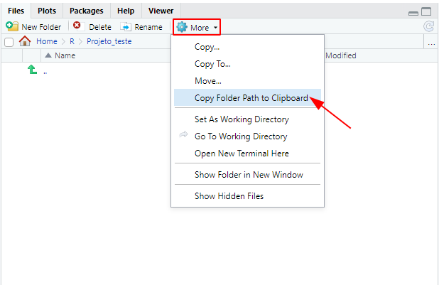 Imagem da aba files do RStudio com um retângulo vermelho enfatizando a opção More e uma seta vermelha apontando para a opção Copy Folder Path to Clipboard.