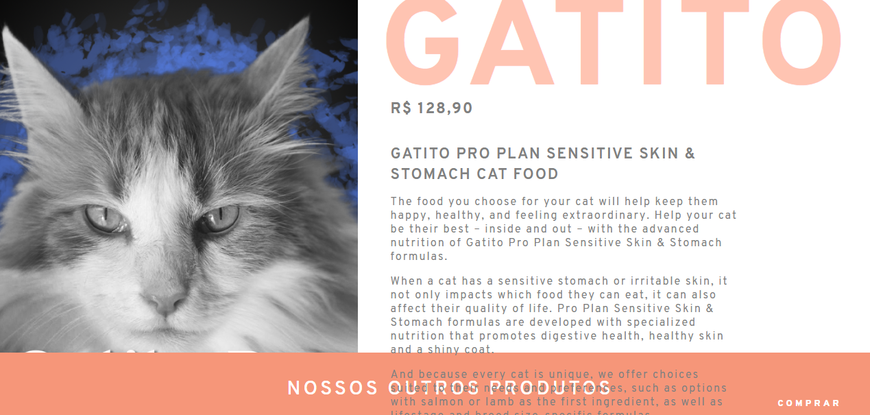 Site Gatito feito no curso Front-end UI com a descrição do produto passando por cima da seção de outros produtos