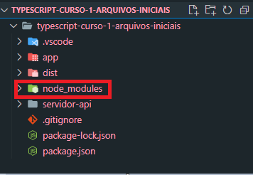 Identificação da pasta node_modules no diretório do projeto