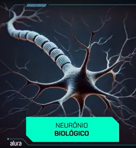 Ilustração de um neurônio biológico com dendritos ramificados, corpo celular e terminal sináptico em um fundo escuro. A imagem possui um texto na parte inferior dentro de um retângulo azul com os dizeres "NEURÔNIO BIOLÓGICO". O logotipo da 'alura' está no canto inferior direito.