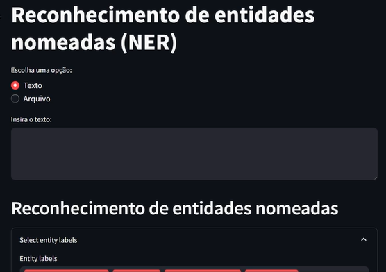 Interface de usuário de um software de reconhecimento de entidades nomeadas (NER) com fundo preto e texto em branco. Na parte superior, o título 'Reconhecimento de entidades nomeadas (NER)' é seguido por duas opções de seleção: 'Texto' e 'Arquivo'. Abaixo há um campo para inserção de texto. Na parte inferior, a seção intitulada 'Reconhecimento de entidades nomeadas' com um subtítulo 'Select entity labels' e 'Entity labels' está presente, mas sem rótulos visíveis.