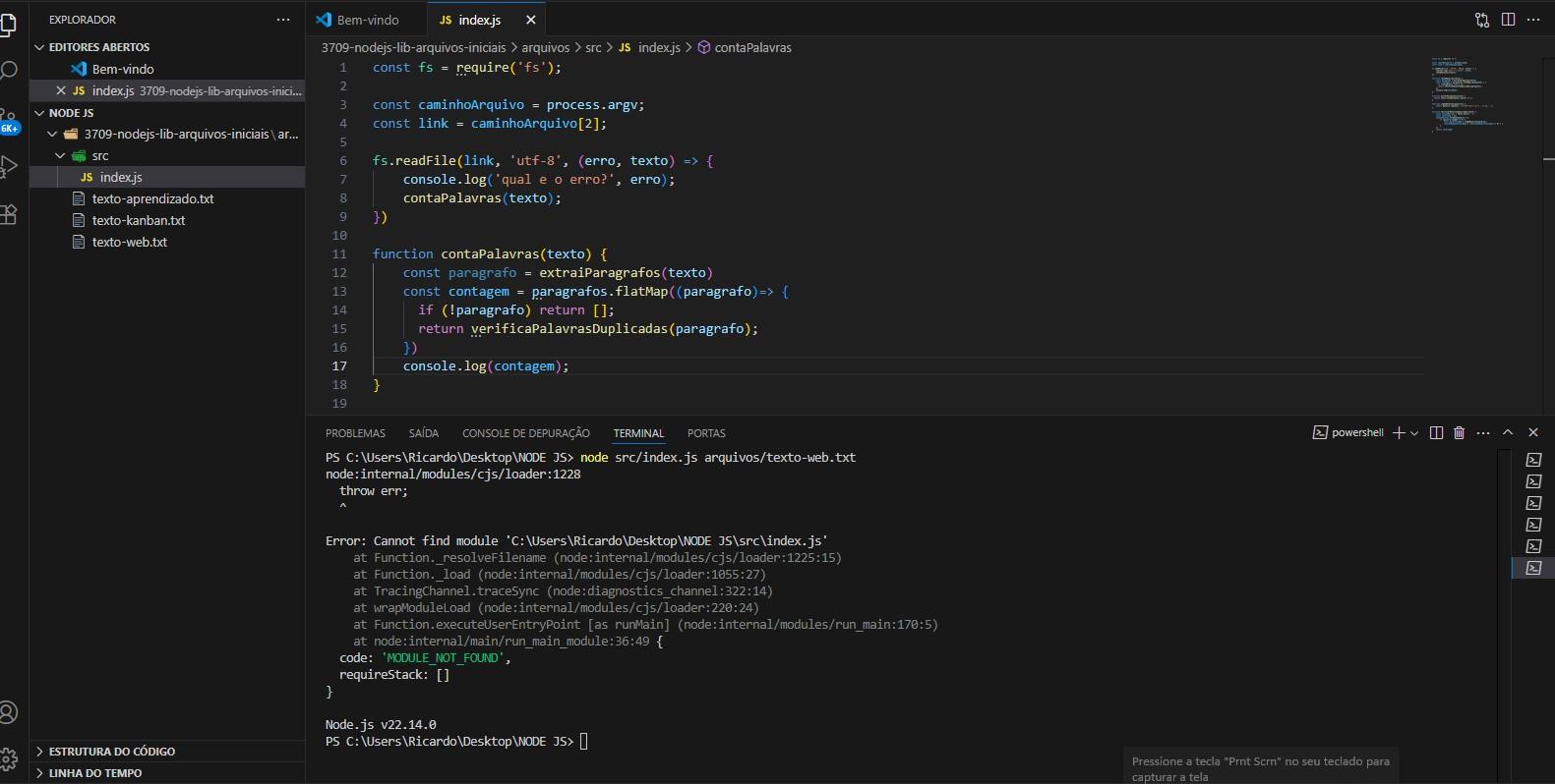 codigo com erro no terminal