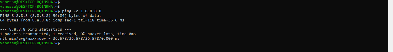 imagem do resultado da consulta ping com a limitação de uma resposta