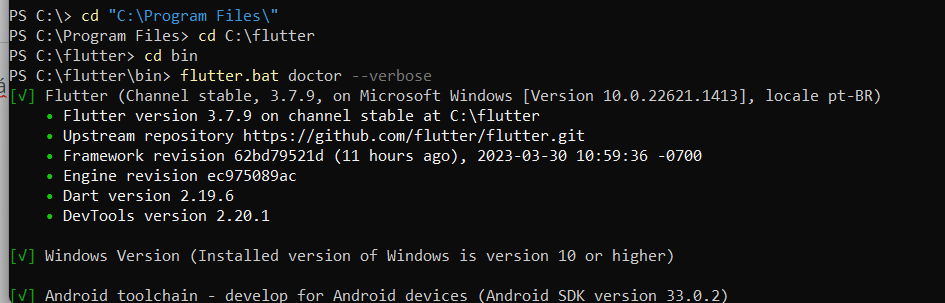 Print do powershell com o código do flutter doctor