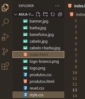 imagem mostra o explorer do editor de código VS Code, com todos os arquivos do curso de HTML e CSS parte 1, e sinaliza que o arquivo style.css e index.html estão juntos na mesma pasta 