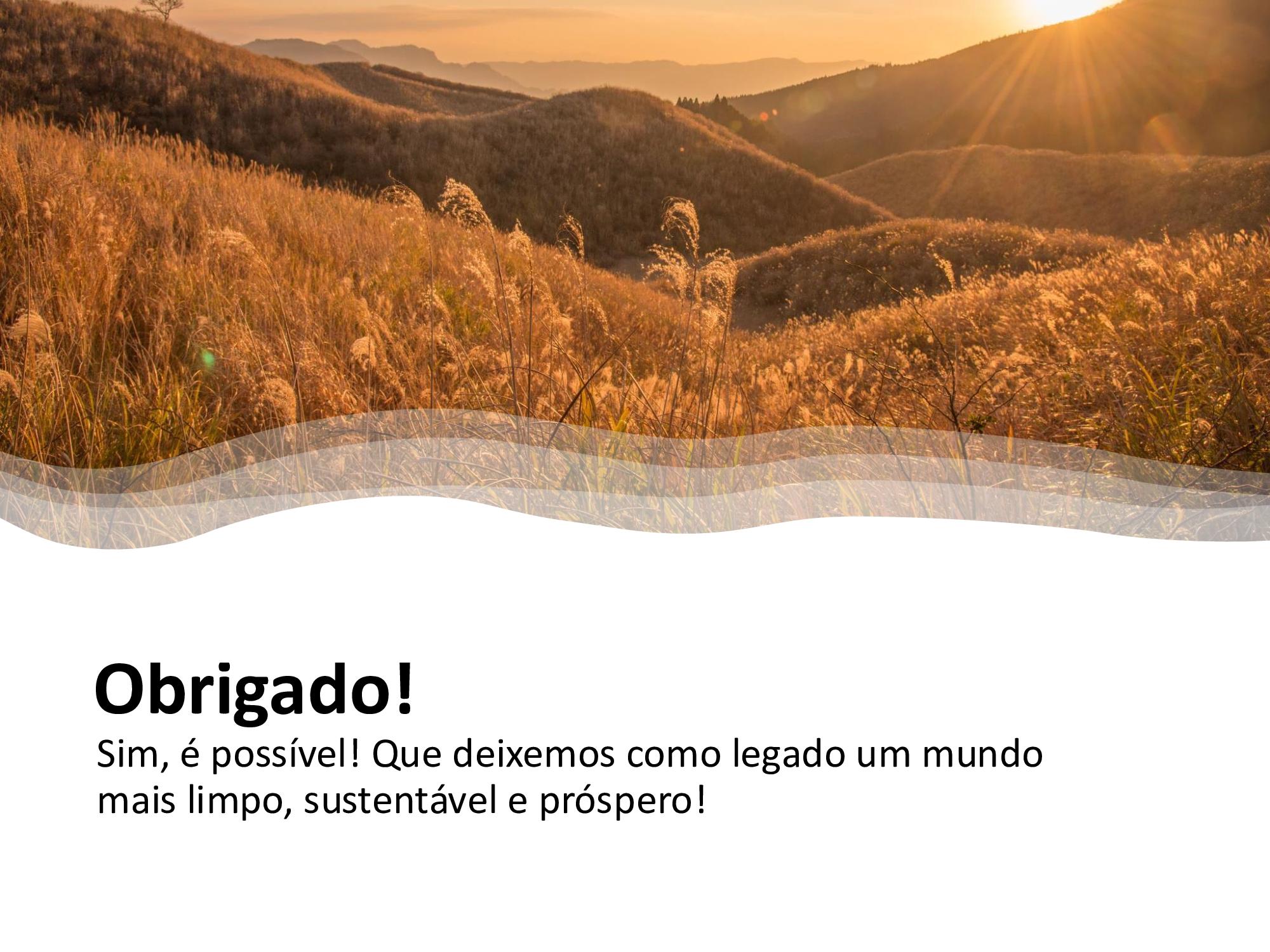 Insira aqui a descrição dessa imagem para ajudar na acessibilidade